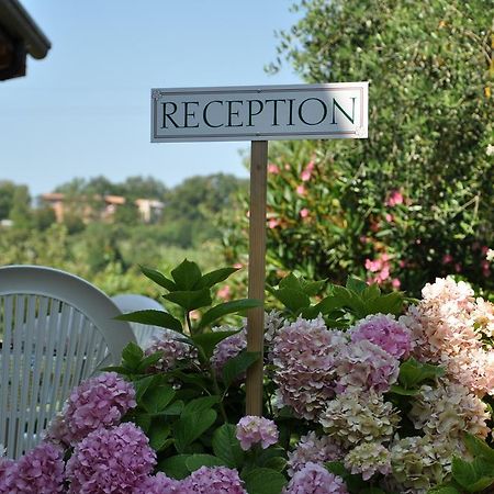 Agriturismo Ai Ciliegi 巴多利诺 外观 照片