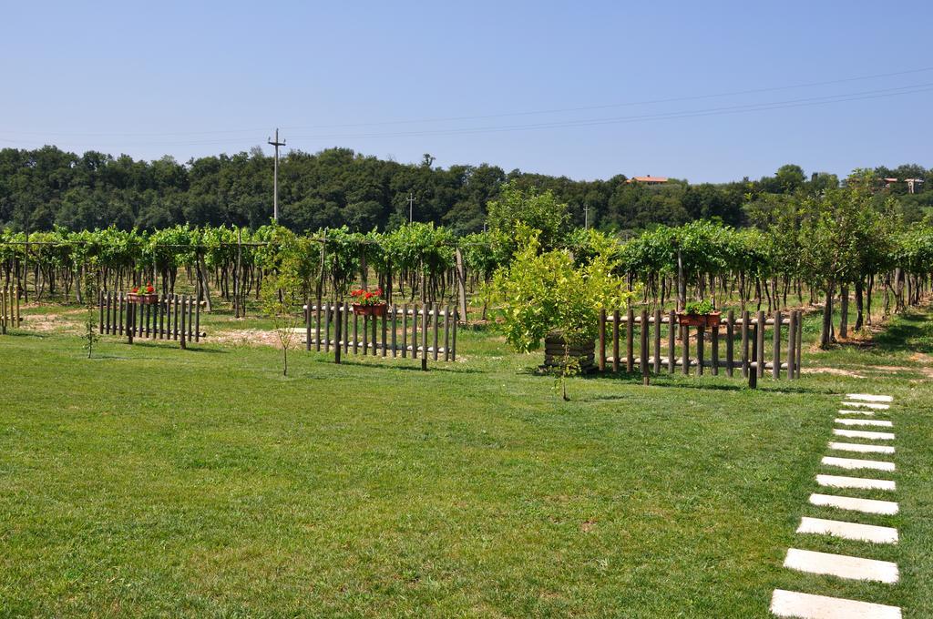Agriturismo Ai Ciliegi 巴多利诺 外观 照片