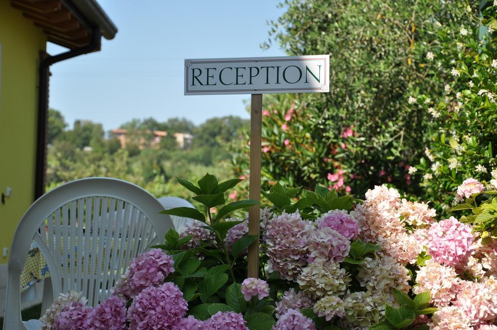 Agriturismo Ai Ciliegi 巴多利诺 外观 照片